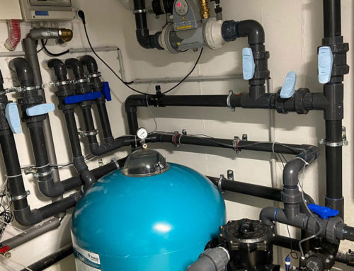 Filtration piscine naturelle : solutions et conseils pratiques